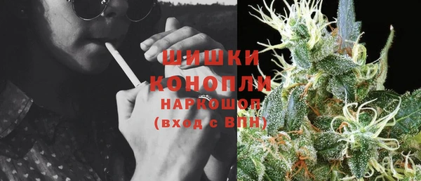 дмт Белокуриха