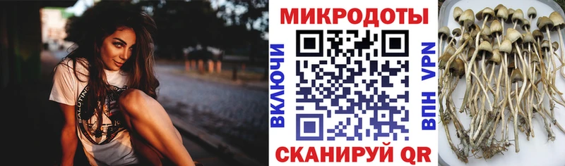 как найти закладки  Очёр  Галлюциногенные грибы прущие грибы 